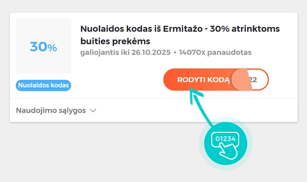 Nuolaidos kodo Ermitažas pavyzdys