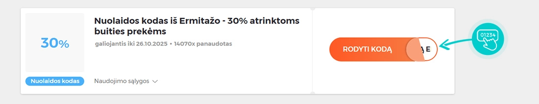 Nuolaidos kodo Ermitažas pavyzdys
